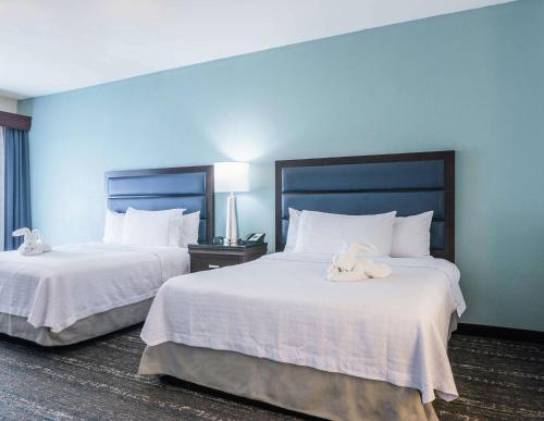 Homewood Suites by Hilton Miami - Airport West - image 11