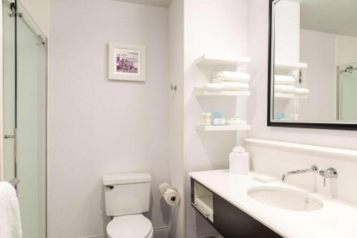 Hampton Inn Midland - image 7