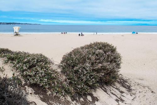 Hampton Inn Monterey - image 3