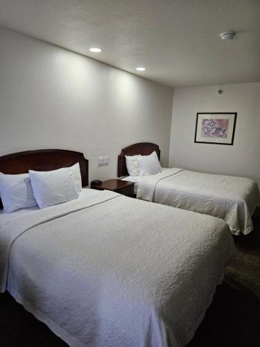 2 queen beds