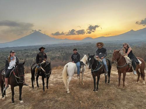 Horse & Bed Hostel - Popocatépetl