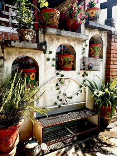Létesítmények, Vive en un rancho in Puebla de Zaragoza