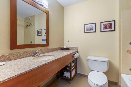 Comfort Inn & Suites Rapid City - image 14