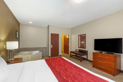 Comfort Inn & Suites Rapid City