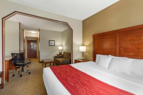 Comfort Inn & Suites Rapid City - image 13