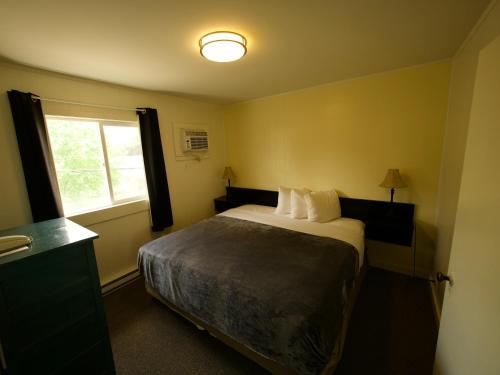 1 king bed, 1 sofa bed