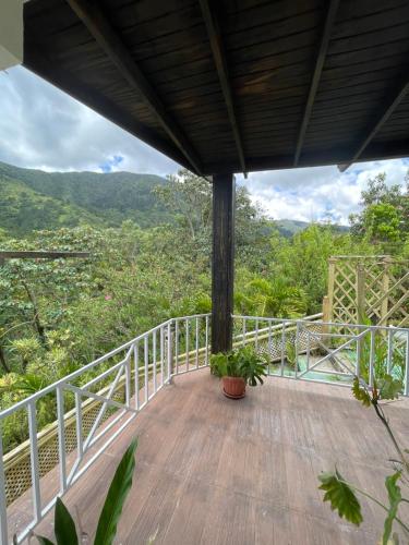 Balcony/terrace, Starlight Chalet and Health Spa in Silver Hill