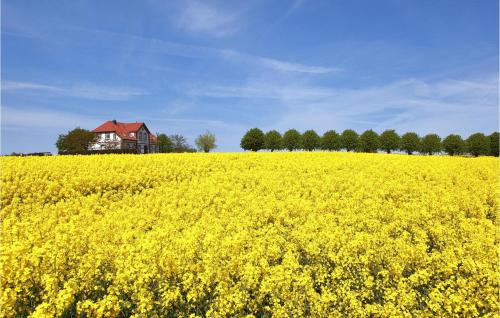 2 Bedroom Gorgeous Home In Boiensdorf