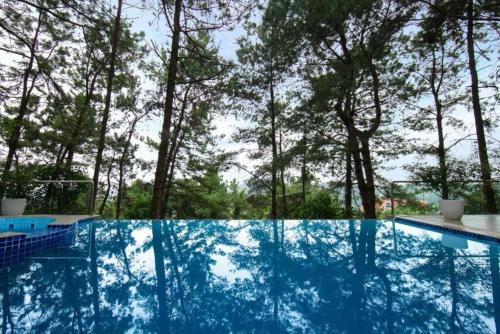 TAM DAO Hideaway NEST Venuestay