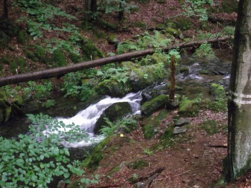 Apkārtne, Chata POUSTEVNA ( Střelecká ) (Chata POUSTEVNA ( Strelecka )) in Ludvikova