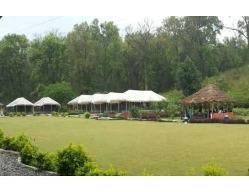 Derra Camp & Resort, Dehradun