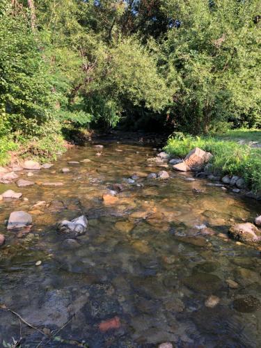 Viewtopia The Secret Land Viewtopia The Secret Land