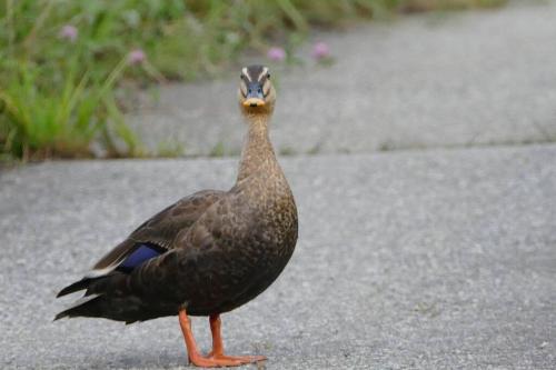 ホリデーハウス慈野(ジノ)