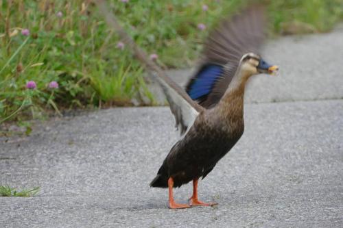 ホリデーハウス慈野(ジノ)