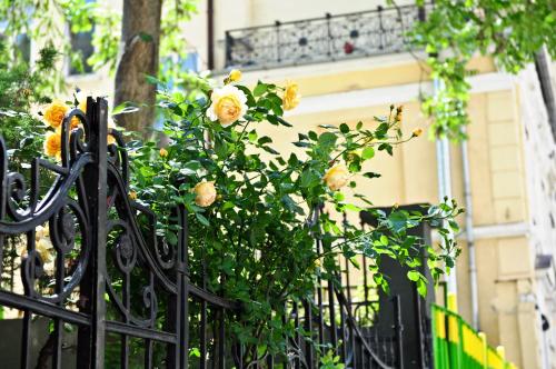 L'Opera Guest House