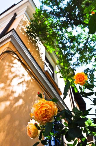 L'Opera Guest House