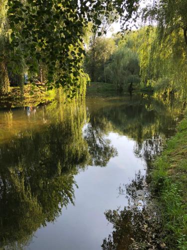 Viewtopia The Secret Land Viewtopia The Secret Land