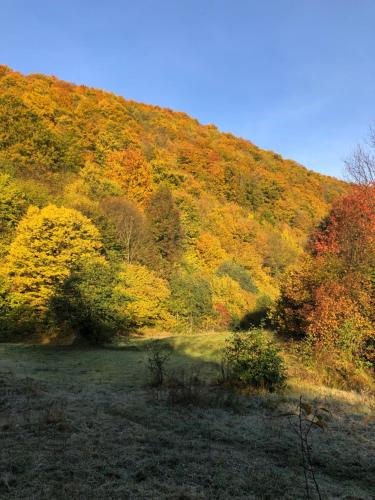 Viewtopia The Secret Land Viewtopia The Secret Land