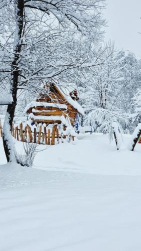 Viewtopia The Secret Land Viewtopia The Secret Land