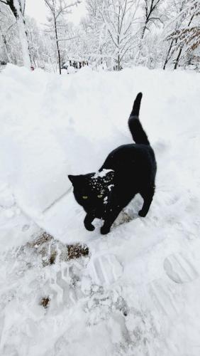 Viewtopia The Secret Land Viewtopia The Secret Land