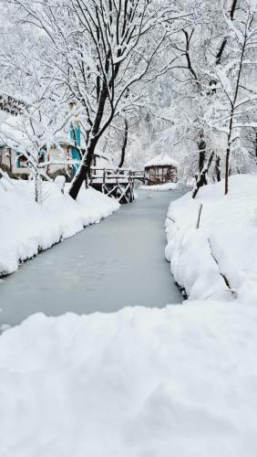 Viewtopia The Secret Land Viewtopia The Secret Land