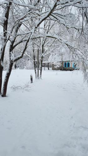 Viewtopia The Secret Land Viewtopia The Secret Land