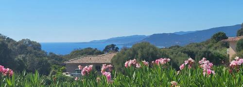 T2 Propriano vue mer, neuf, climatisé et classé 3 étoiles