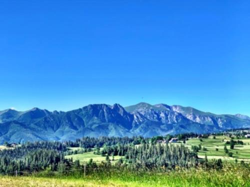 Mountain cozy house in Tatras