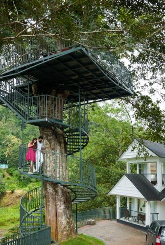 สภาพแวดล้อมโดยรอบ, Eden Woods Resorts & Spa in นุลลาตันนี