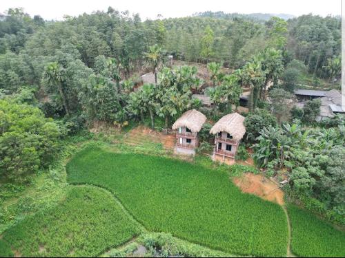 Vu Linh Palm House Homestay - Bungalow in Yen Binh (Yen Bai)