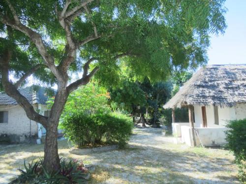 Bwejuu Garden View Bungalows