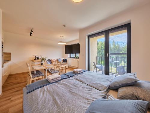 Studio Černý Důl-1 by Interhome (Studio Cerny Dul-1 by Interhome) in 赛尔妮杜尔