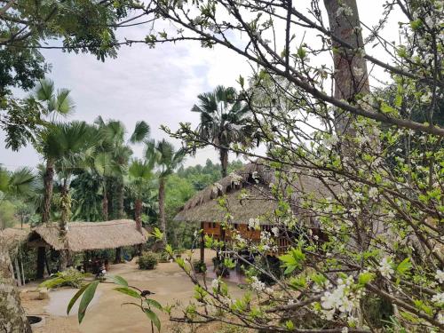 Vu Linh Palm House Homestay - Bungalow