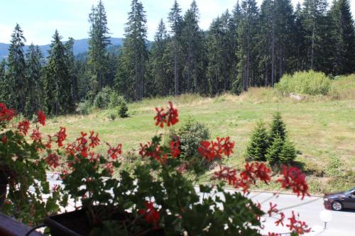 Hotel IN Zlatar ex Zlatarski Biseri - Nova Varoš