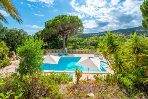 Paradis Provençal - Chambre d'hôtes - Sainte-Maxime