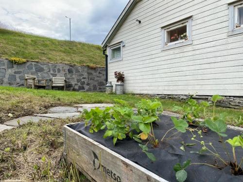 Feriehus i landlige område med nydelig utsikt (Feriehus i landlige omrade med nydelig utsikt) in Лаєрвік