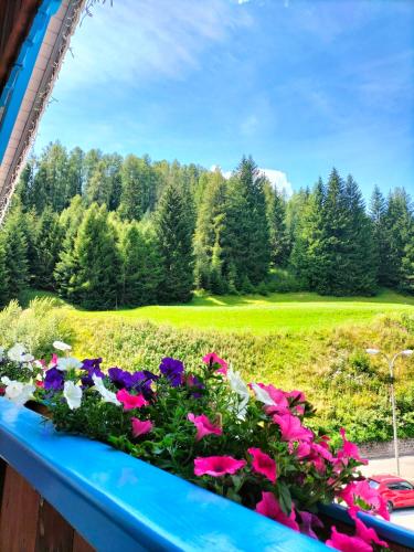 Hotel Vael – Vigo di Fassa, TN
