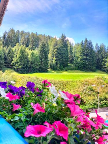 Hotel Vael – Vigo di Fassa, TN