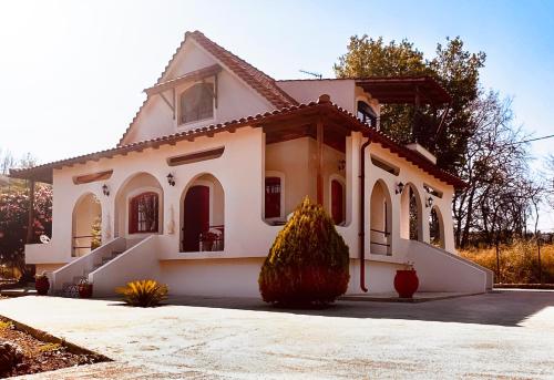 Cheerful artist villa in the genuine part of Evia Greece