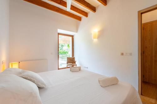 Agroturismo Filicumis - image 10