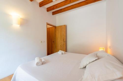 Agroturismo Filicumis - image 9