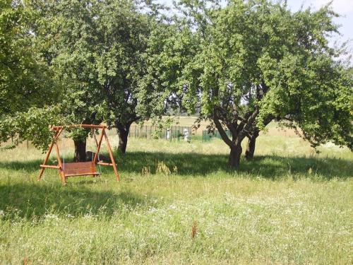 Вид, Ducka Wola 10 - Cichy Zakątek, sielanka na wsi (Ducka Wola 10 - Cichy Zakatek, sielanka na wsi) in Брзецке