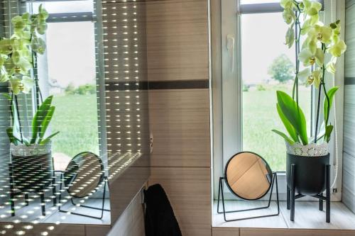 Vannas istaba, Domek Gościnny Czempion (Domek Goscinny Czempion) in Slupca