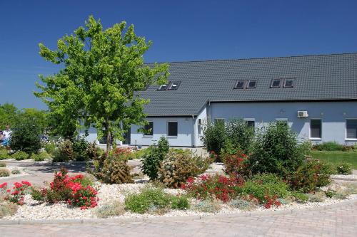 Accommodation in Hédervár