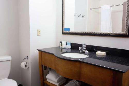 King Studio Suite with Sofa Bed - Non-Smoking