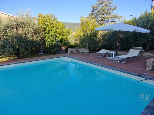 villa oliveta - image 6