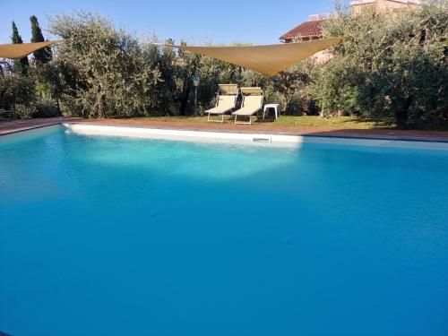 villa oliveta - image 5