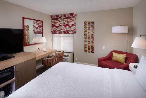 King Studio - Mobility Accessible with Roll-In Shower room in Hampton Inn & Suites by Hilton Phoenix Scottsdale Shea Blvd