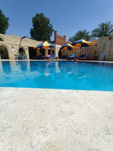 palm shadow resort in Фейом