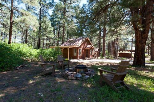 151 CR 200 - 1 Bedroom Cabin - Durango